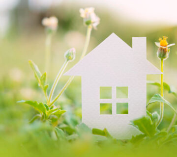 white-paper-house-and-flower-in-morning-gardenhomeless-housing-and-home
